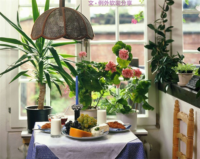 家里植物這樣擺，打造”另類“居室（一）