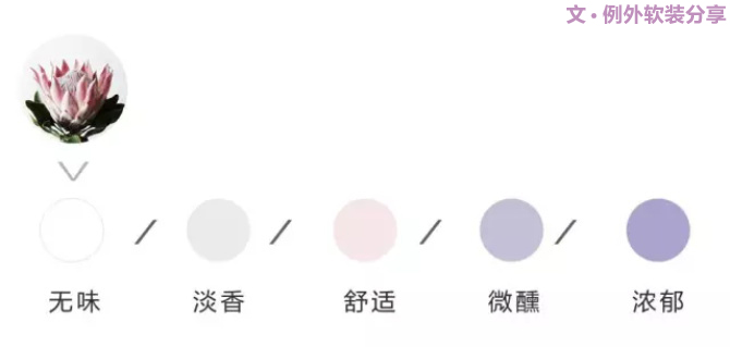 【例外·花箋記】沒(méi)有哪個(gè)姑娘能拒絕這樣一支奇葩！-別墅設(shè)計(jì),軟裝設(shè)計(jì),室內(nèi)設(shè)計(jì),豪宅設(shè)計(jì),深圳例外軟裝設(shè)計(jì)公司